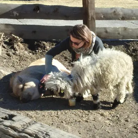 Hébergement de vacances Herrenschmiede *