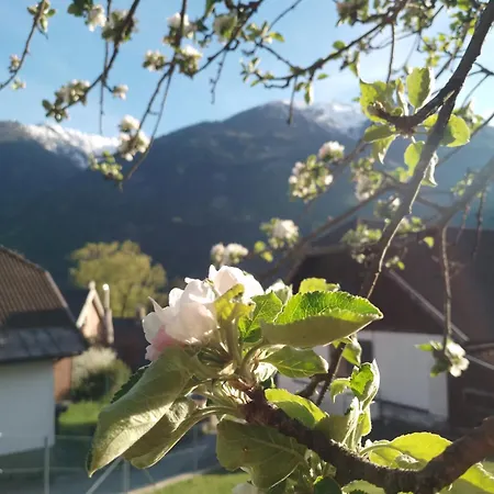 Herrenschmiede Obervellach