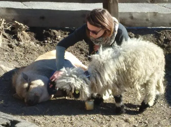 Feriehus Herrenschmiede *