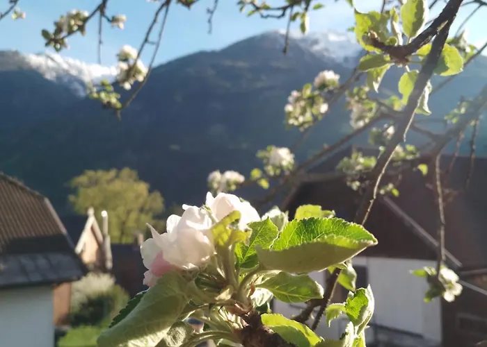 Herrenschmiede Obervellach